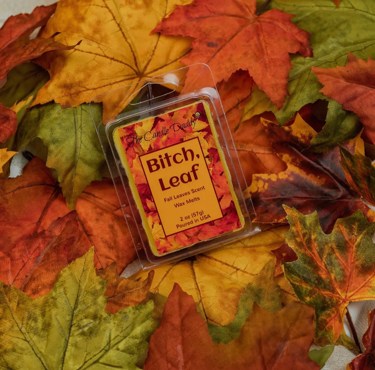 B*tch Leaf - Fall Leaves Wax Melts