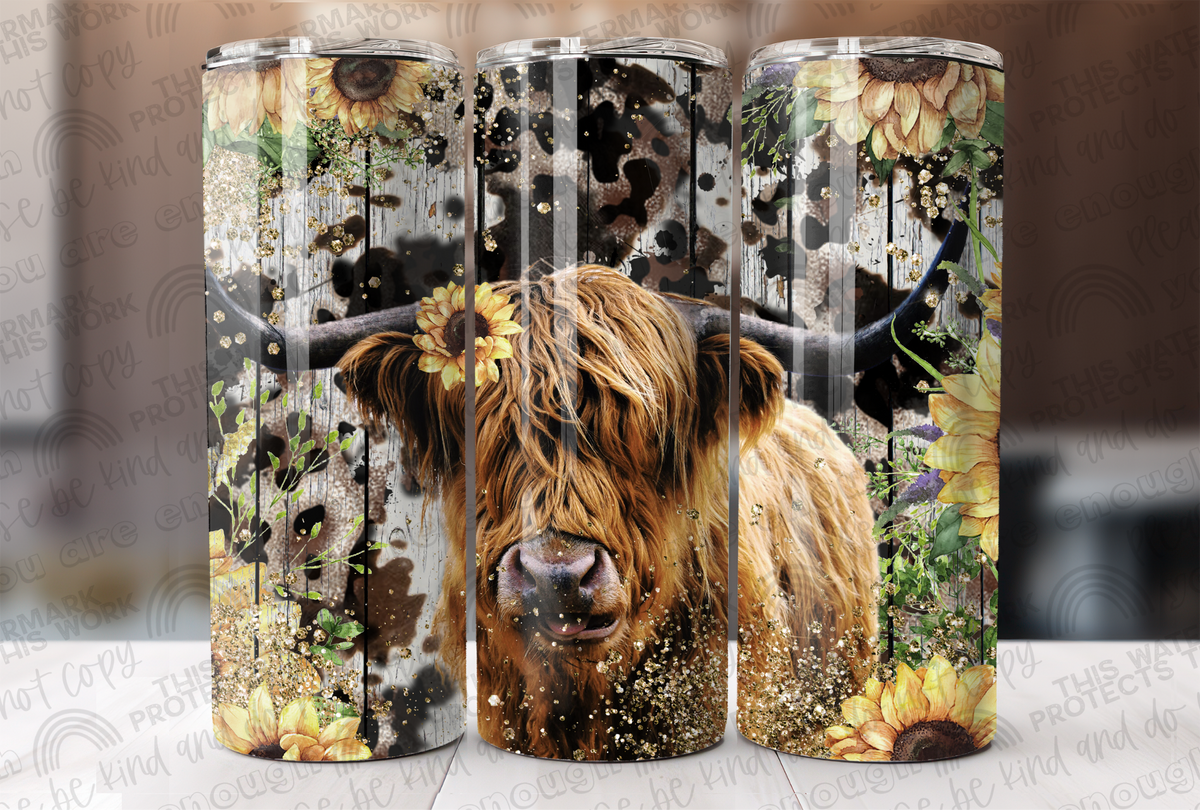 Highland Cow