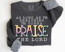 Load image into Gallery viewer, Praise The Lord DTF