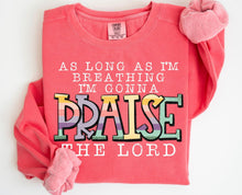 Load image into Gallery viewer, Praise The Lord DTF