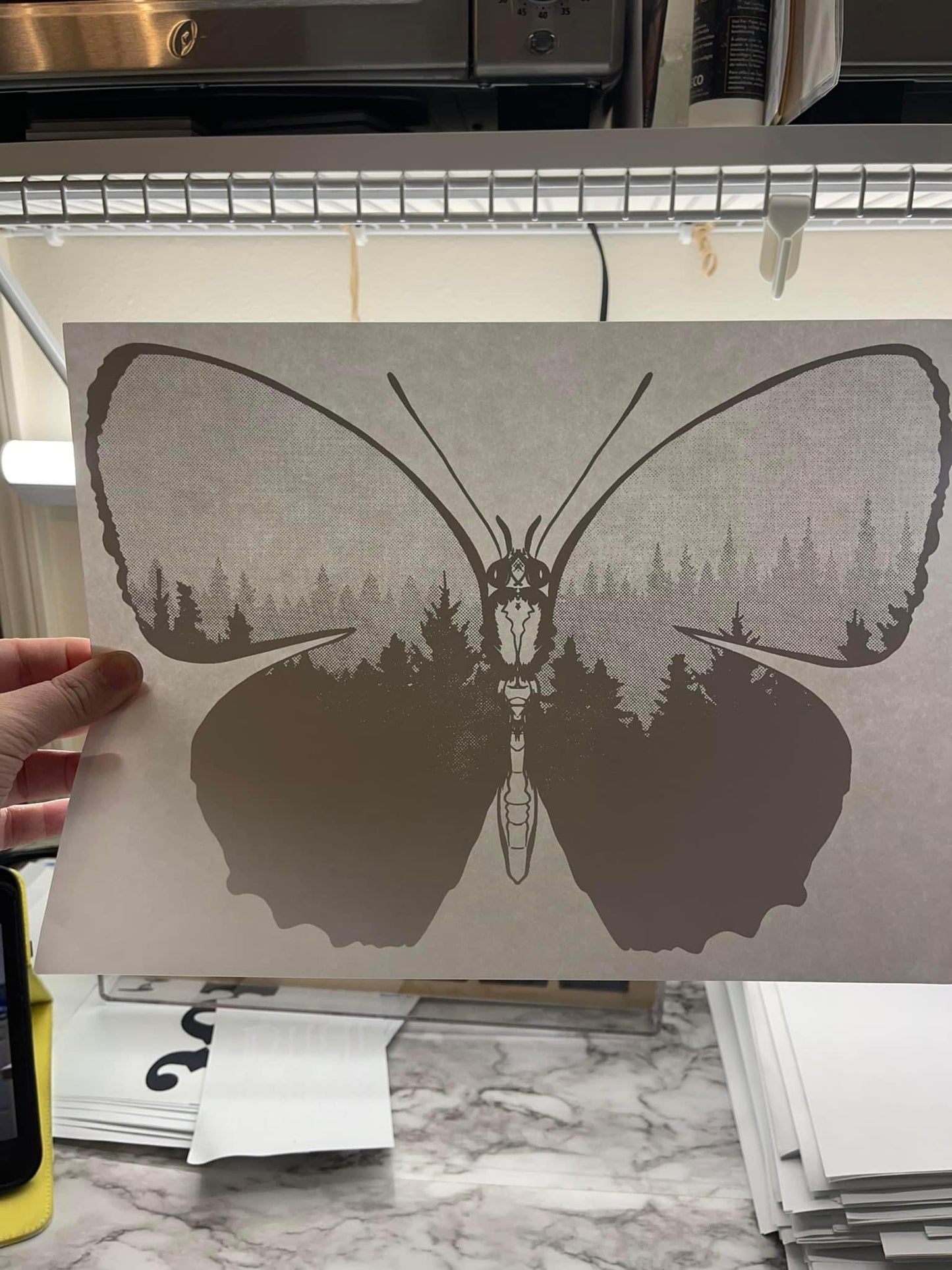 Butterfly Silhouette - black/gray