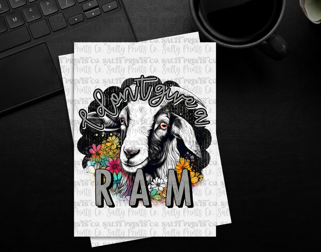 I Don't Give a Ram