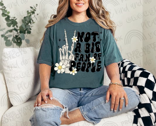 Not A Fan of People DTF