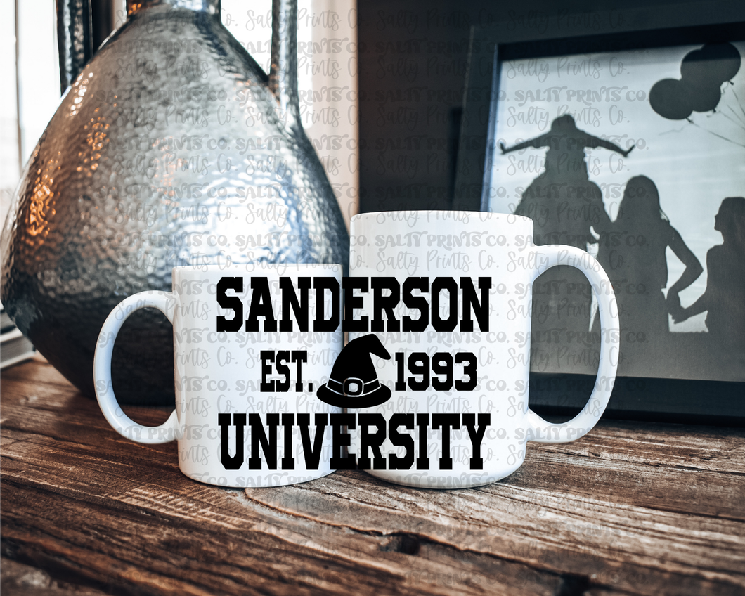 Sanderson University