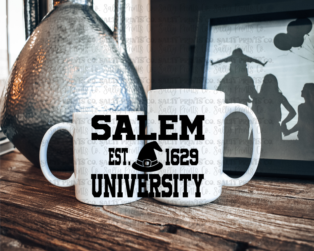 Salem University