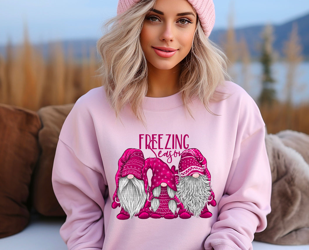 Freezing Season Pink Gnomes DTF