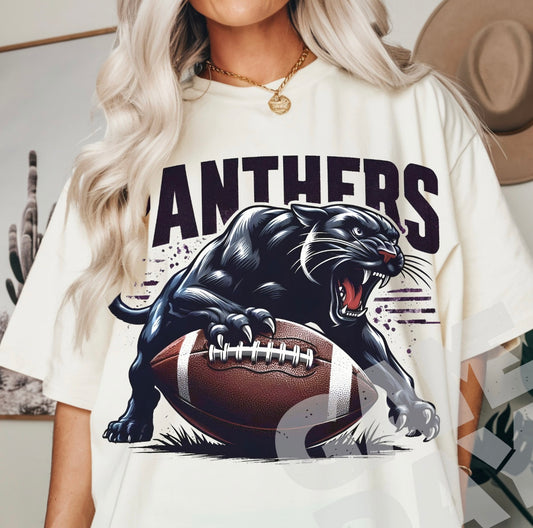 Panthers Football #2 DTF
