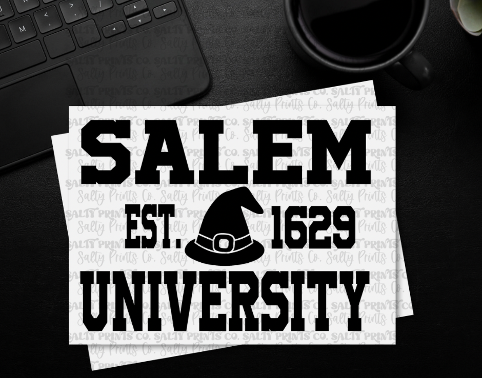 Salem University