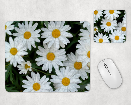 Daisies